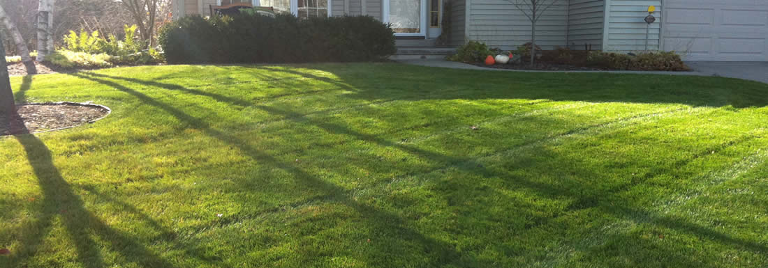 Lawn Aeration Services Madison/Dane County WI